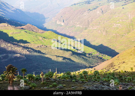 L'Éthiopie. L'Amhara. Gondar du nord. Vue vers le bas d'une vallée dans les montagnes éthiopiennes. Banque D'Images