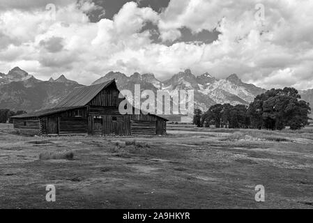 Noir et blanc, Vieux Mormon grange, champs, bosquet et de grandes montagnes Rocheuses sous un ciel avec des nuages blancs moelleux. Grange à partir de 1800. Banque D'Images