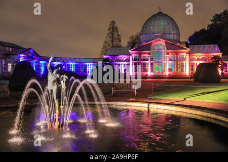 Syon Park, London, UK, 15 novembre 2019. La grande véranda, allumé. La "forêt enchantée" illuminations à Syon Park et dans le centre historique de Syon House une fois de plus s'ouvre au public avec une traînée de scènes magnifiquement illuminés autour du parc et le centre historique de Syon House avec sa grande véranda et show laser à l'intérieur. Enchanted Woodland sera ouvert du vendredi au dimanche 15 novembre au 1er décembre 2019. Credit : Imageplotter/Alamy Live News Banque D'Images