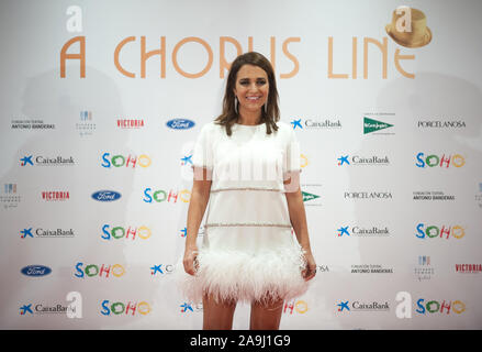 Malaga, Espagne. 15 Nov, 2019. Actrice Espagnole Paula Echevarria pose sur le tapis rouge lors d'un photocall de la comédie musicale "A Chorus Line" avant sa première mondiale au théâtre Soho Caixabank.L'acteur espagnol Antonio Banderas et directeur ouvre son nouveau théâtre de Malaga avec sa première comédie musicale "A Chorus Line", basé à la production musicale originale sur l'histoire d'un groupe de danseurs de Broadway qui visent à prendre part à la comédie musicale chorale. Credit : SOPA/Alamy Images Limited Live News Banque D'Images