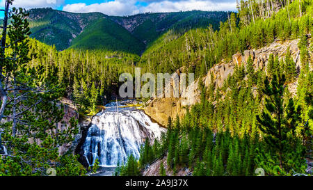 Gibbon Falls dans la Gibbon River dans le Parc National de Yellowstone dans le Wyoming, États-Unis d'Amérique Banque D'Images