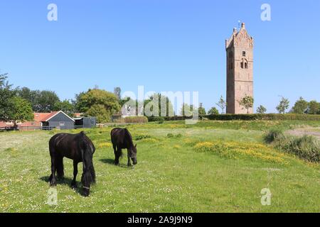 Vue sur le clocher de l'église du 13ème siècle en Firdgum ( Frise ) avec à l'avant deux chevaux frisons Banque D'Images