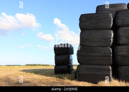 Les balles de foin enveloppés de plastique noir et empilés dans un paysage avec un ciel bleu et les nuages. Copie de l'image avec l'espace. Banque D'Images