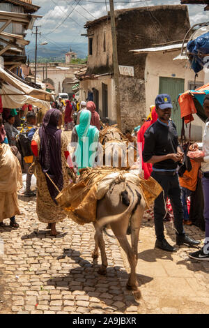 L'Éthiopie, de l'Hararghe, Harar, Harar Jugol, vieille ville fortifiée, femme menant des ânes à travers rue étroite Banque D'Images