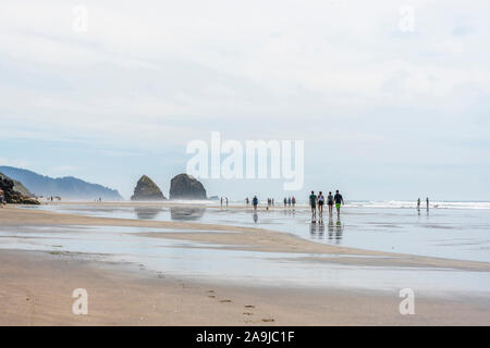 Rochers sortant de l'eau dans la bande côtière du nord-est de l'océan Pacifique sont un excellent endroit pour se détendre et marcher dans les fruits de mer un Banque D'Images