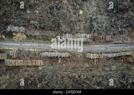 Vue du haut vers le bas de l'exploitation forestière, la déforestation, la destruction de l'environnement Banque D'Images