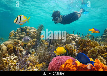 Mer des Caraïbes, les récifs coralliens colorés avec des poissons tropicaux et un homme sous-marine Plongée avec Tuba Banque D'Images