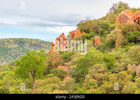 Une vue majestueuse au Parc National de Pilanesberg, Afrique du Sud. Banque D'Images