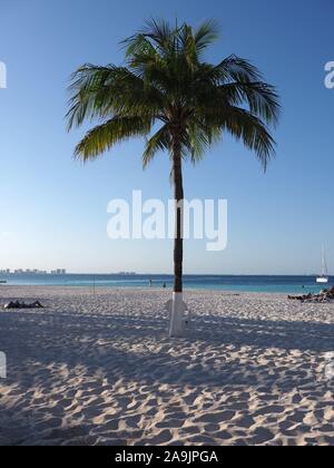 Le soleil place sous palmier sur la plage de sable tropicale à Cancun ville de Quintana Roo au Mexique de bord de mer des Caraïbes, ciel bleu clair en 2018 s chaudes Banque D'Images