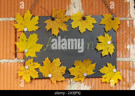 Automne - l'inscription sur un tableau noir décorée de feuilles d'érable Banque D'Images