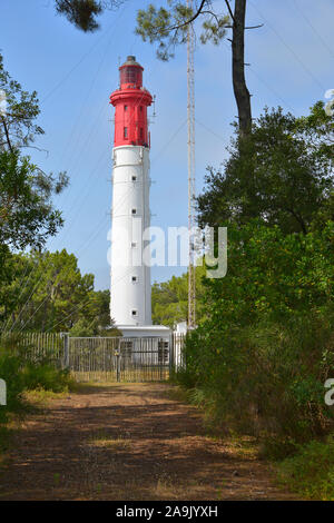 Phare parmi la forêt de pins au Cap-Ferret, commune française située dans le département de la Gironde et le sud-ouest de la France Banque D'Images