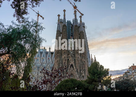 Prise de vue au grand angle de la Sagrada Familia à Barcelone de l'église catholique. Couleurs naturelles. Banque D'Images