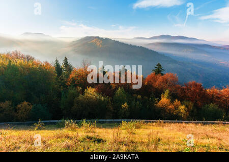 Misty le lever du soleil dans les Carpates. nature extraordinaire paysage en automne. Les arbres en rouge et orange feuillage. colline dans l'herbe. des ri Banque D'Images