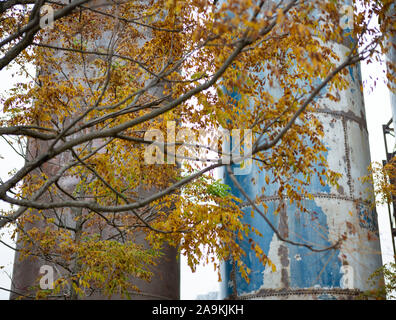 Cheminées industrielles avec les feuilles d'automne sur branch Banque D'Images