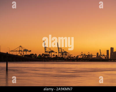 Rose fantastique coucher de soleil au port de Miami, USA Banque D'Images