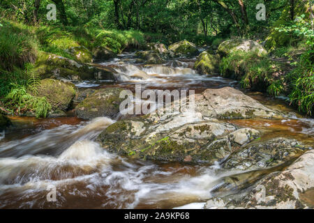 Après une douche à la fin de l'été, l'un des nombreux cours d'eau dans le district du lac s'écoule librement sur moss couverts comme il enroché serpente à travers les collines de No Banque D'Images