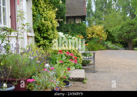 Lavender Farm dans le Kent Banque D'Images