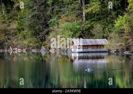 À l'automne Lac Schwansee. La maison sur le rivage se reflète dans l'eau. Un canard décolle de la surface de l'eau. Banque D'Images