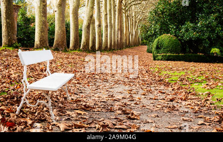 L'automne Feuilles d'Automne dans le parc Promenade avec banc, arbres et buissons verts. Banque D'Images