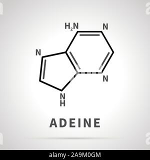 Structure chimique de Adeine, l'un des quatre principaux nucléobases, icône simple Illustration de Vecteur