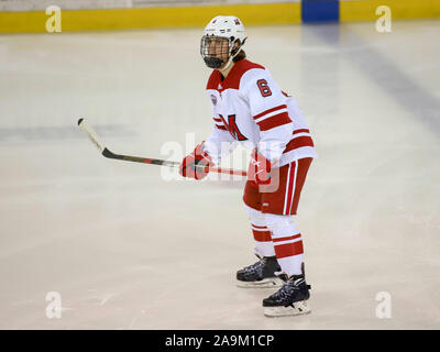 Oxford, Ohio, USA. 15 Nov, 2019. L'Alec Mahalak Miami lors d'une partie de hockey entre les NCAA Miami Redhawks et le Minnesota Duluth Bulldogs au Goggin Ice Centre à Oxford, Ohio. Kevin Schultz/CSM/Alamy Live News Banque D'Images