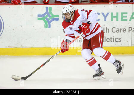 Oxford, Ohio, USA. 15 Nov, 2019. Miami's John Sladic pendant une partie de hockey entre les NCAA Miami Redhawks et le Minnesota Duluth Bulldogs au Goggin Ice Centre à Oxford, Ohio. Kevin Schultz/CSM/Alamy Live News Banque D'Images