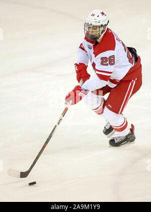 Oxford, Ohio, USA. 15 Nov, 2019. Miami's Chase Pletzke au cours d'une partie de hockey entre les NCAA Miami Redhawks et le Minnesota Duluth Bulldogs au Goggin Ice Centre à Oxford, Ohio. Kevin Schultz/CSM/Alamy Live News Banque D'Images