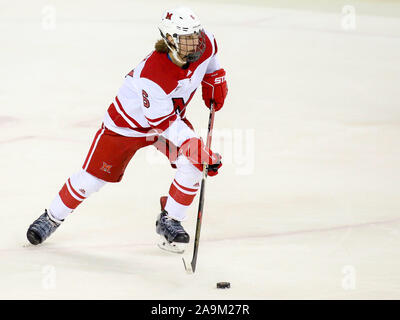 Oxford, Ohio, USA. 15 Nov, 2019. L'Alec Mahalak Miami lors d'une partie de hockey entre les NCAA Miami Redhawks et le Minnesota Duluth Bulldogs au Goggin Ice Centre à Oxford, Ohio. Kevin Schultz/CSM/Alamy Live News Banque D'Images