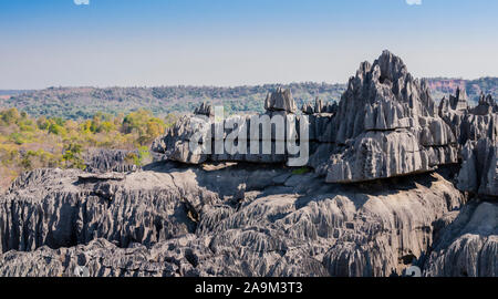Formations calcaires karstiques impressionnantes dans le Parc National Tsingy de Bemaraha, à Madagascar Banque D'Images
