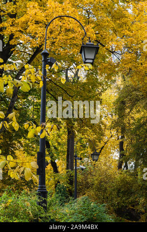 Les réverbères dans parc Lazienki au cours de l'automne seasosn entouré de jaune, orange et vert feuillage des arbres, Varsovie, Pologne Banque D'Images