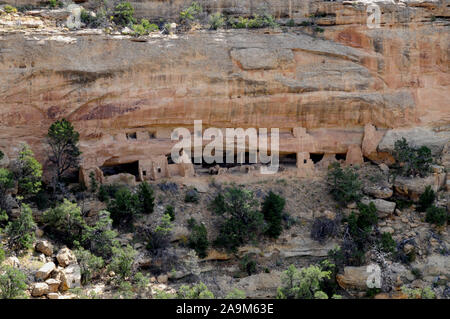 Sommaire des # 16 Nordenskiold cliff en séjour à la zone d'Mesaoverlook Wetherill Mesa Verde National Park. Il y a un bon sentier jusqu'à l'oublier. Banque D'Images