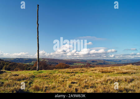 UK,Derbyshire, Peak District,vue sur le poteau en bois & Estate Longshaw Banque D'Images