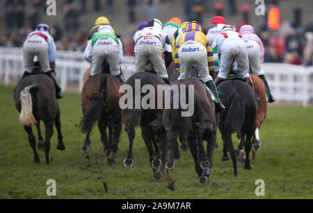 Coureurs et cyclistes la concurrence dans l'Karndean Designflooring Mares' Open Standard NH courses de plat au cours de la réunion de novembre à l'Hippodrome de Cheltenham, Cheltenham. Banque D'Images