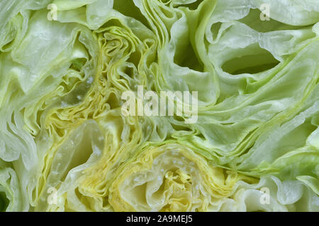 La laitue Iceberg fraîche bio dans macro close up. La laitue Iceberg de la tête en tranches, salade de haute résolution. Banque D'Images