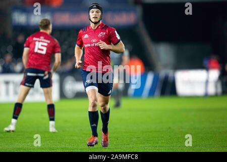 Swansea, Royaume-Uni. 16 novembre, 2019. Munster voler la moitié de Tyler dans le Bleyendaal Ospreys v Munster Heineken Cup Rugby Match des Champions. Credit : Gruffydd Ll. Thomas/Alamy Live News Banque D'Images