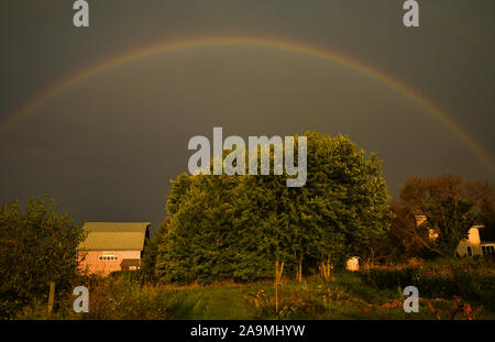 Grand arc-en-ciel sur une ferme dans le pays au cours de l'été, avec un matin soleil et nuages d'orage lointain, In Browntown, Wisconsin, États-Unis Banque D'Images