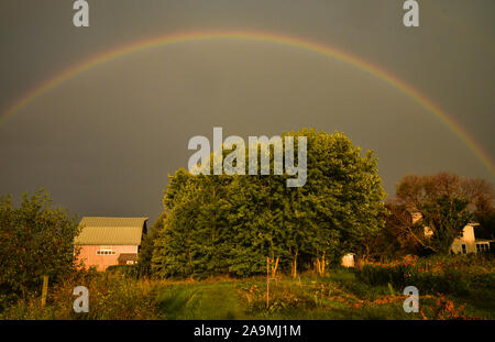 Grand arc-en-ciel sur une ferme dans le pays au cours de l'été, avec un matin soleil et nuages d'orage lointain, In Browntown, Wisconsin, États-Unis Banque D'Images