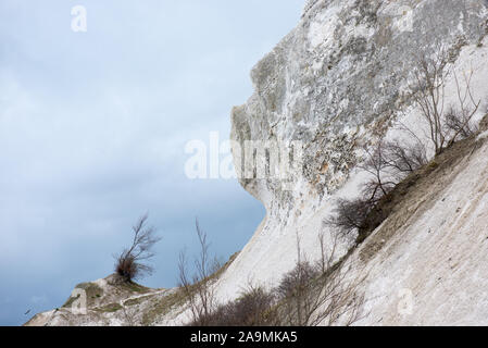 Paysage de craie sur Moens Klint au Danemark Banque D'Images