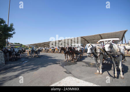 Istanbul, Turquie - Juillet-31..2019 : Frederikshavn phaeton lieu de repos. Il y a différentes décorations. Utiliser l'ancien local. Banque D'Images