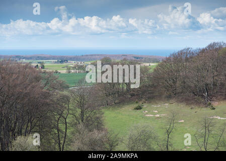 Panorama de paysage sur Møn au Danemark au début du printemps Banque D'Images