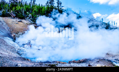 La vapeur provenant de l'eau chaude et eau cristalline de l'eau dans le ressort de Beryl en Geyser Parc National de Yellowstone dans le Wyoming, États-Unis d'Amérique Banque D'Images