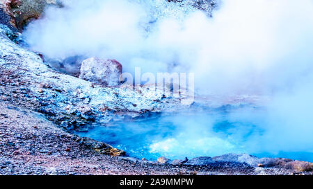 La vapeur provenant de l'eau chaude et eau cristalline de l'eau dans le ressort de Beryl en Geyser Parc National de Yellowstone dans le Wyoming, États-Unis d'Amérique Banque D'Images