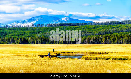 Pêche à la mouche dans la rivière Madison comme il serpente à travers les Prairies dans le Parc National de Yellowstone dans le Wyoming, États-Unis d'Amérique Banque D'Images