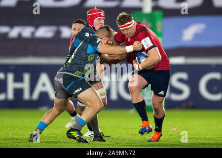 Swansea, Royaume-Uni. 16 novembre, 2019. Munster hooker Niall Scannell sur l'attaque dans les Ospreys v Munster Heineken Cup Rugby Match des Champions. Credit : Gruffydd Ll. Thomas/Alamy Live News Banque D'Images