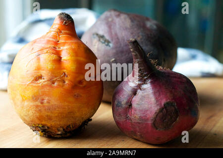 Portrait de betteraves rouges et orange sur une planche à découper en bois Banque D'Images