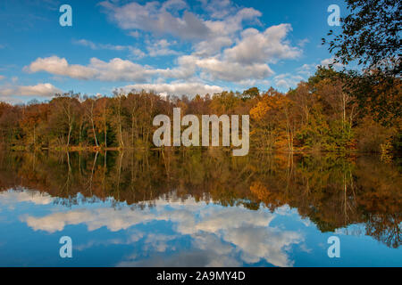 Slaugham Mill Pond au cours de l'automne, West Sussex, England, UK Banque D'Images