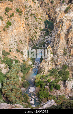 Vue de la rivière Kourtaliotis et canyon près de la plage des Palmiers à la mer de Libye, rivière et forêt de palmiers, sud de la Crète, Grèce Banque D'Images