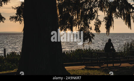 Silhouette d'homme assis sur une table de pique-nique jouit de coucher du soleil à Magnolia Park surplombant le lac Apopka, en Floride. Banque D'Images