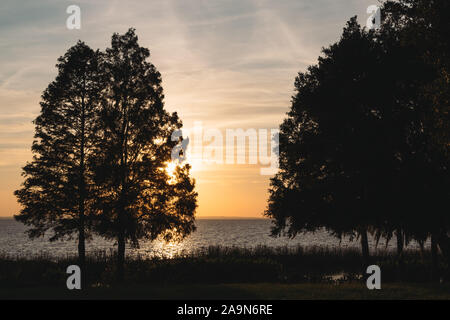 Le soleil se couche sur le lac Apopka au Magnolia Park à Apopka, en Floride. Banque D'Images