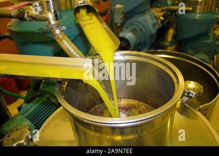 Extraction de l'huile d'olive vierge extra en processus de moulin à huile d'olive en Grèce. Banque D'Images